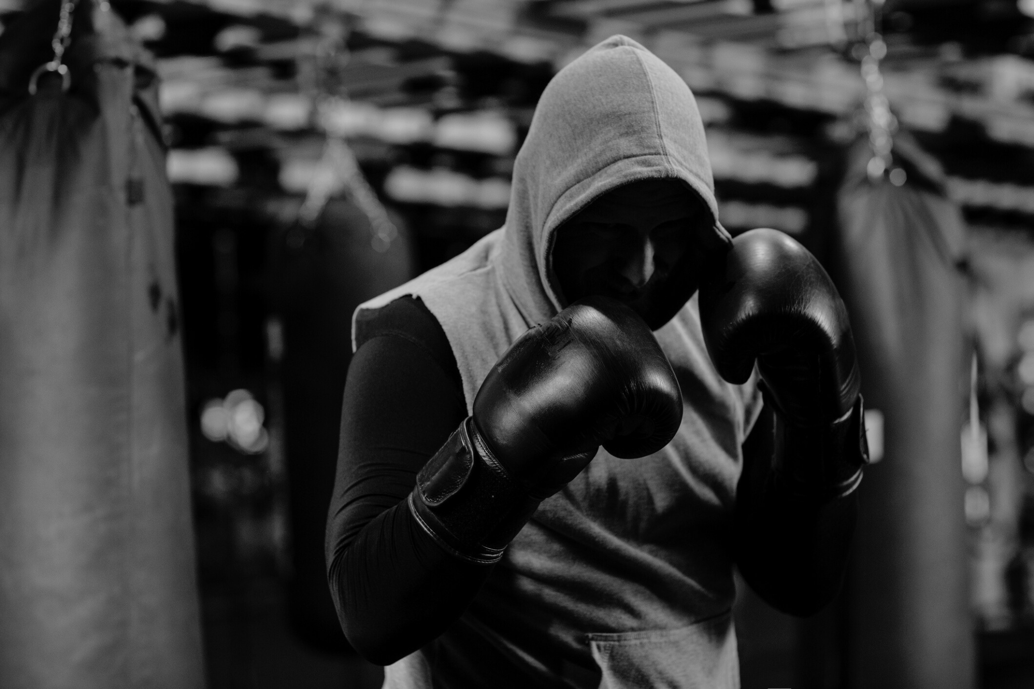 Gründung und Entwicklung