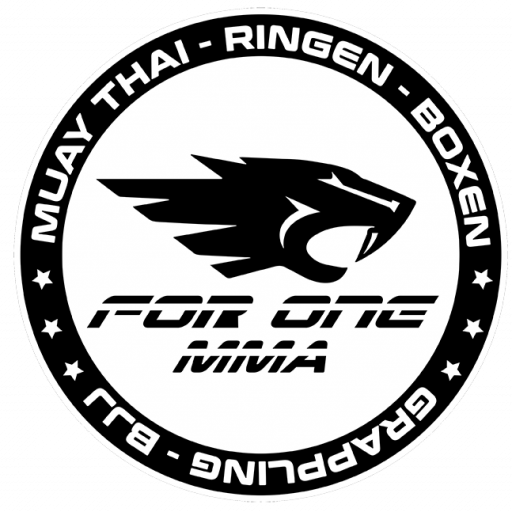MMA FOR ONE